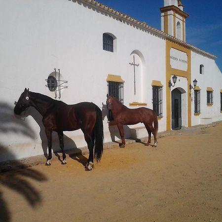 Отель Hacienda La Indiana Лос-Паласьос-и-Вильяфранка Экстерьер фото