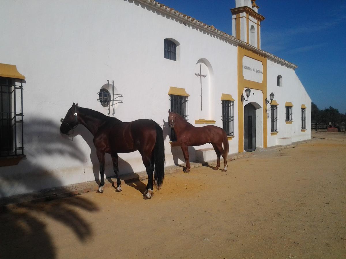 Отель Hacienda La Indiana Лос-Паласьос-и-Вильяфранка Экстерьер фото